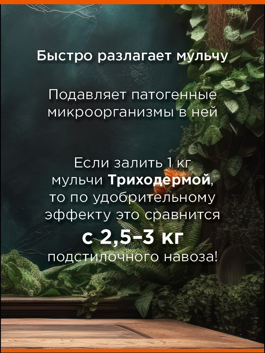 jpg